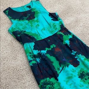 J.Crew Factory Watercolor Print Dress (sz 2)